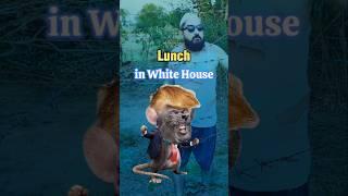Lunch in White House | Mannu Kaushik #youtubeshorts #shorts #shortvideo #funny #comedy #comedyshorts