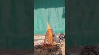 amazing science experiment snake experiment #experimentboys#youtubeshorts#shorts#
