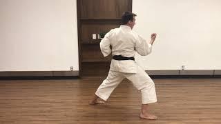 Shotokan Karate - Sanbon Kumite #1 tutorial by Paul Gale Network.