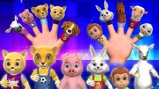 Finger Family Song - 3D Animals Finger Family Nursery Rhymes & Songs for Kids