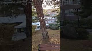 #광주여자대학교 #여대