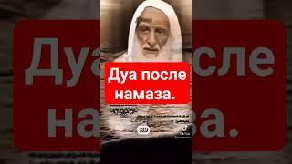 Дуа после намаза молитвы | Шейх Мухаммад ибн Усеймин #дуа#мольба#сунна#коран#нововведение#палестина