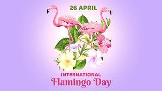 Flamingos Have Sweet Dance Moves | Flamingo Day #flamingo