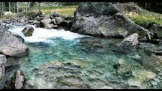 2 Hours Beautiful Creeks with Water Running Sound Best for Relaxation 2022 I 最美小溪的水流声放松视频音乐