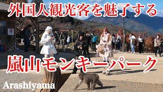 2024年12月9日（月） 紅葉見頃で外国人観光客を魅了する嵐山のモンキーパークを歩く Walking around Arashiyama, Kyoto 【4K】