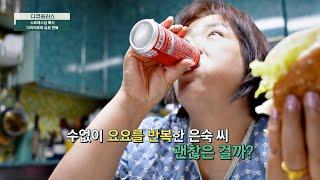 작심 1일? 다이어트와 요요의 무한 굴레에 빠진 주인공… | 다큐 플러스 317회 | JTBC 240714 방송