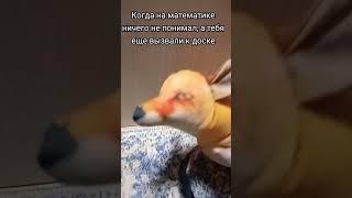 #мем #блоптоп #блоп #бибизяна #гусь #собака #меме #мемы #юкан
