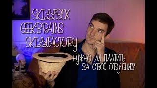 SkillBox, GeekBrains, SkillFactory. Нужно ли платить за своё обучение? (Или за чужой маркетинг...)