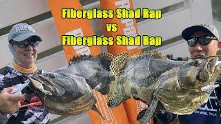 Rapala Fiberglass Shad Rap Rod vs Shad Rap Rod !