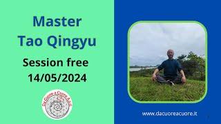 Session free Zhineng Qigong Master Tao Qingyu