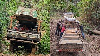 80 KM SOFRIDO NA MATA EM BUSCA DOS GIGANTES