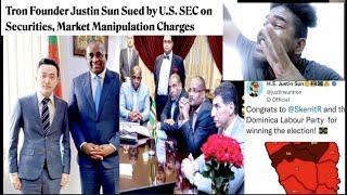 ANOTHER ONE OF SKERRIT'S FRIENDS IN HOT WATER & DOMINICA IS INVOLVED | Mystelics Reacts