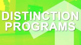 Distinction Programs at MINT College