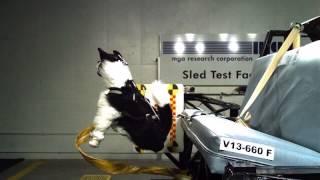 CPS_2013_Klein Metal_Allsafe Safety Harness Crash Test_Medium