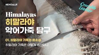 히말라야 악어가죽은 왜 희소한가