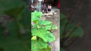 珍惜眼前人，老人年纪大了独居，需要多陪伴