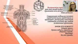 Сидоренко Оксана  Алтайские травники и тибетская медицина  Продукция Компании МейТан