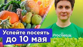 ЭТИ ОВОЩИ НУЖНО УСПЕТЬ ПОСЕЯТЬ ДО 10 МАЯ, иначе потом не ждите хорошего урожая