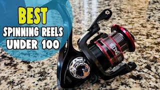 Best Spinning Reels Under 100 in 2021 – Be a Pro Angler Within Your Budget!