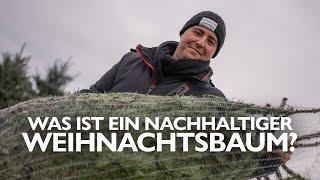  Was ist ein nachhaltiger Weihnachtsbaum? | Zu Besuch auf der Selbsternteplantage Prettner 