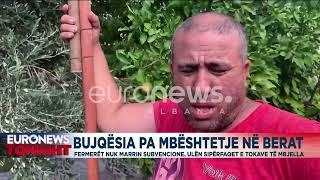 Bujqësia pa mbështetje në Berat