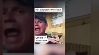 Вот это по моему самый лучший способ расслабиться - А как вы расслабляетесь ?