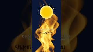 달님에게 소원을 빌어봐