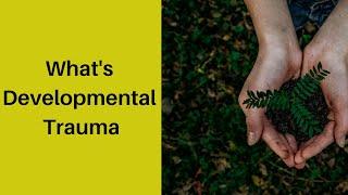 What is Developmental Trauma?