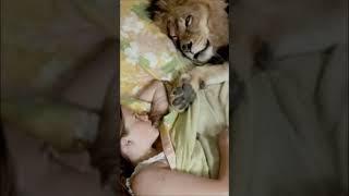 14-year-old Melanie Griffith at home with her beloved lion Neal, 1971 #shorts