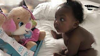 Funny Baby Videos - The Ultimate Try Not to Laugh Challenge!