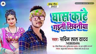 घास काटे गइनी सिवनीया #Bhojpuri Song #Sachin Lal Yadav | New Bhojpuri Song 2022