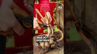 Секреты после обрезки
