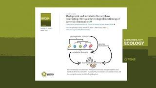 Effects of phylogenetic & metabolic diversity on ecological functioning of bacterial communities