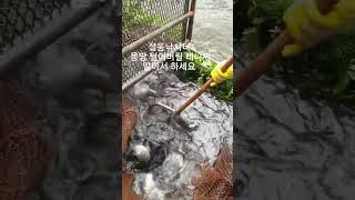 설동낚시터 하우스 역돔낚시 열렬히 환영합니다