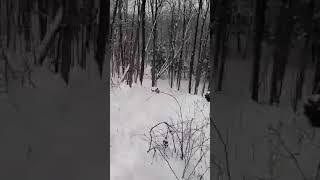 SLED RIDING FAIL #shorts #winter #fail #sledding