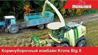 Работа кормоуборочного комбайна Krone Big X на полях СПК Маяк Заполье