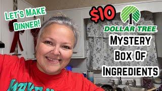 $10 Dinner From The Dollar Tree | Mystery Box Of Ingredients Makes A Huge Meal!