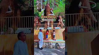 dino valley islamabad #dinovalley #shorts #viralshorts #ytshorts