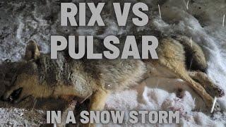 RIX vs Pulsar - Coyote Hunting