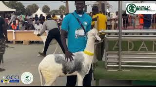 GUBA International Trade Fair Livestock Improvement with live coverage by SAAMA SA JURR NETWORK