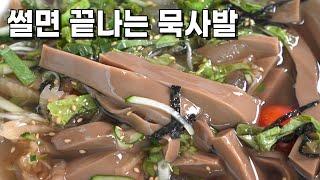 에고 여태껏 이걸 사먹었다니! 도토리 묵사발 만들기. 다이어트 점심으로~ 애기들도 잘 먹어요