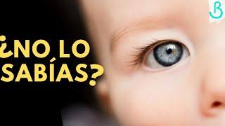 10 COSAS que NO SABÍAS del RECIÉN NACIDO || Baby Suite by Pau