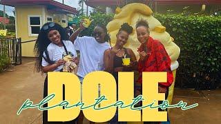 WE TOOK A TRIP TO THE DOLE PLANTATION IN OAHU 