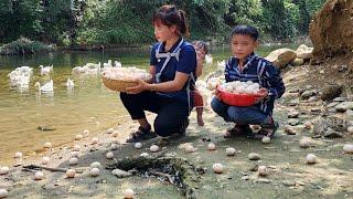 Full Video:Harvesting vegetables and eggs_ Going to the market_ ​​Gardening_ Lý Thị Xuân single mom