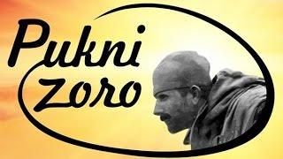 Nikola Stamenkovic-Pukni zoro