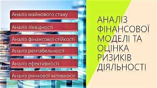 Аналіз фінансової моделі та бізнес-ризиків компанії