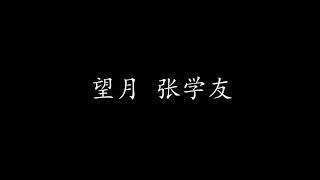 望月 张学友 (歌词版)