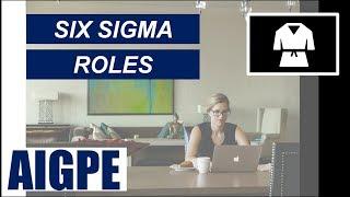 What are the different Six Sigma Project Roles? - Part 03 (FREE Mini Course Series)