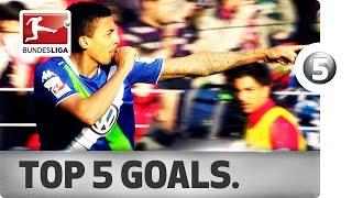 Luiz Gustavo - Top 5 Goals