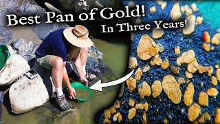 Best Single Gold pan in Three Years!  WOW!